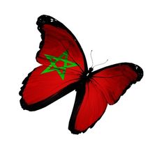 Regragui annonce la liste des joueurs pour affronter le Niger et la Tanzanie.